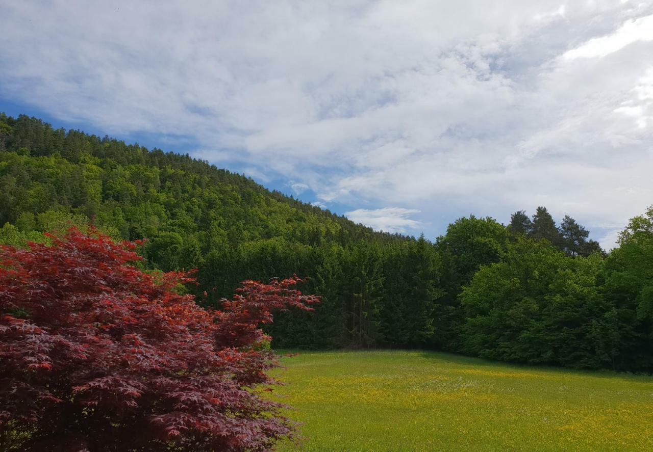 Hotel Garni Wurzer Velden am Woerthersee Luaran gambar